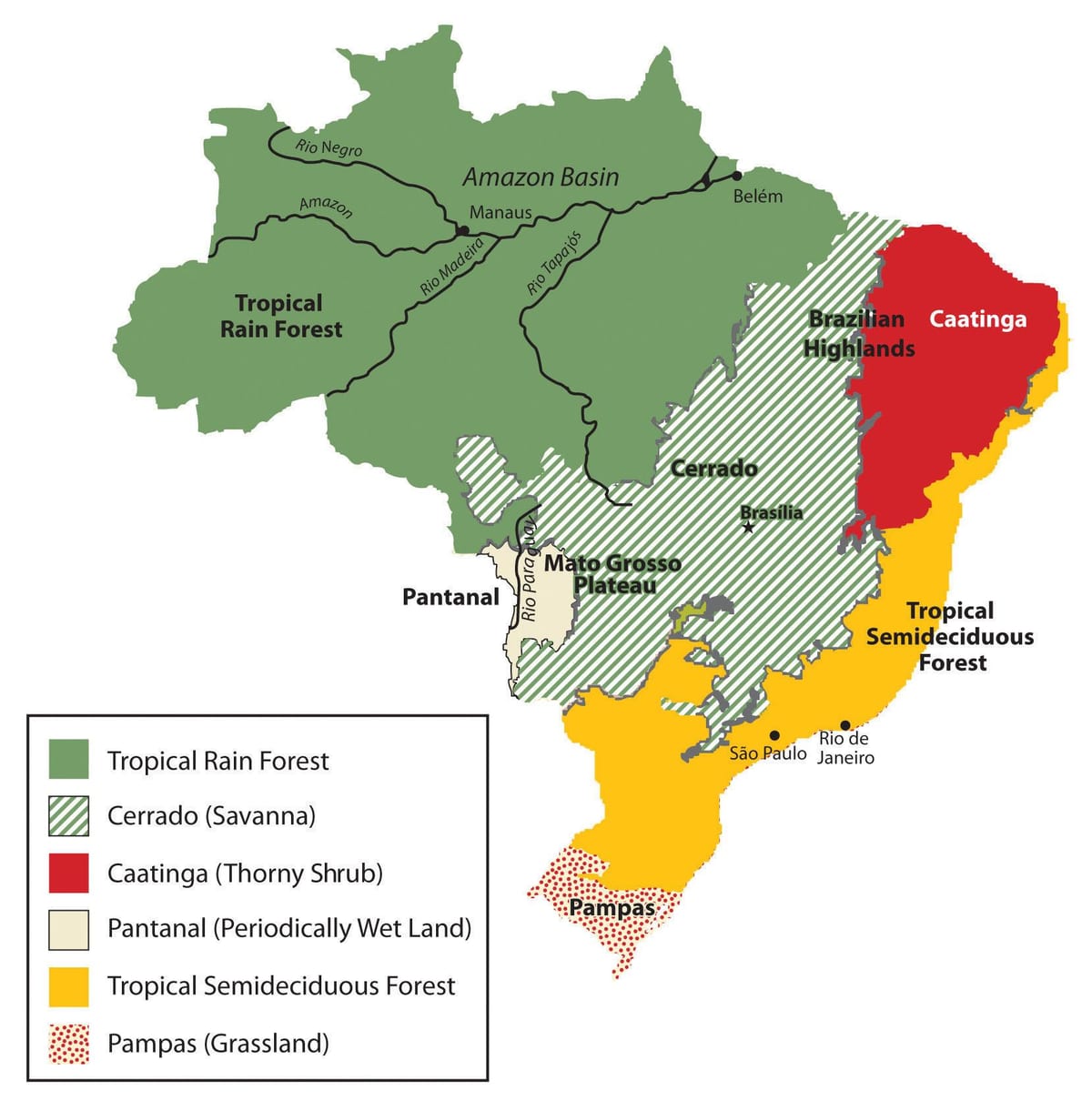 mapa Brazílie vegetace