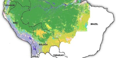 Mapa Brazílie lesy