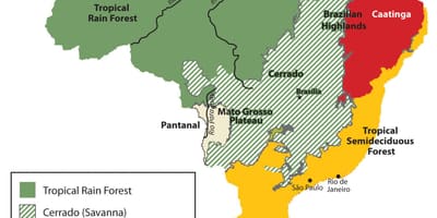 Mapa Brazílie vegetace